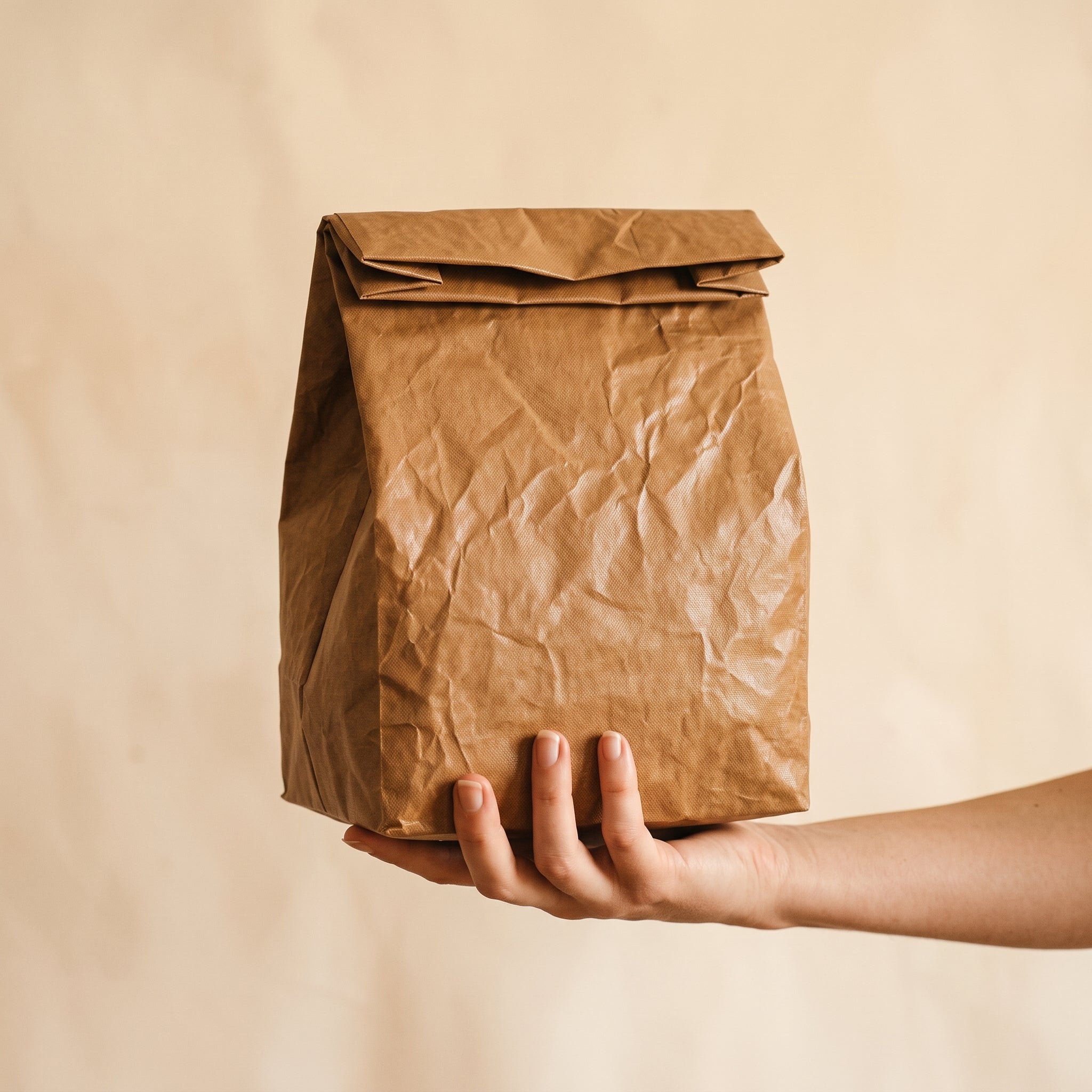 Waterproof Insulated Lunch Bag
